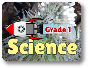 Grade 1 Science