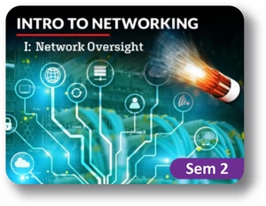  Introduction to Networking Semester - 2: Network Oversight