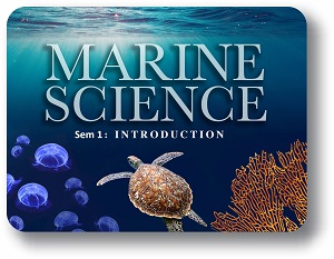  Marine Science Semester 1: Introduction