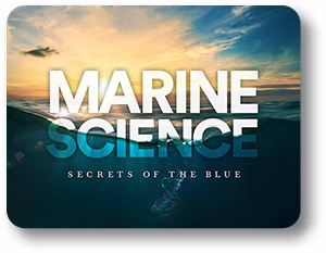  Marine Science Semester 1: Secrets of the Blue