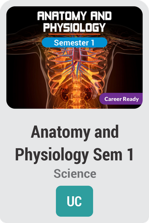 Anatomy and Physiology Semester 1: Introduction