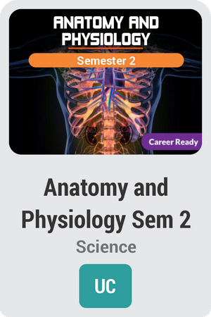 Anatomy and Physiology Semester 2: Discovering Form and Function
