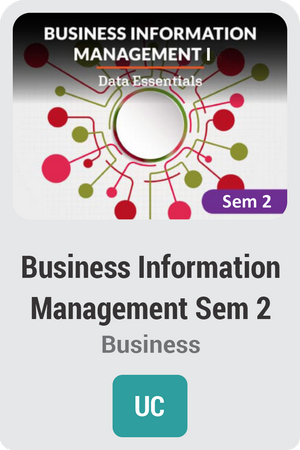 Business Information Management Semester 2: Data Essentials
