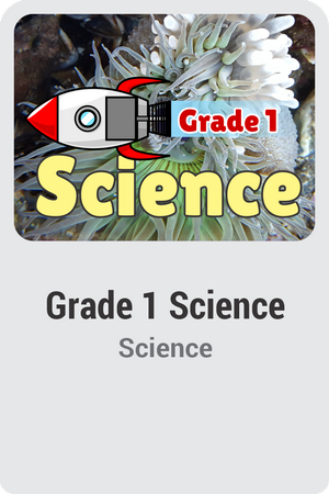 Grade 1 Science