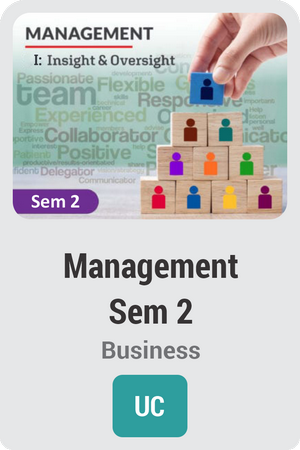 Management Semester 2: Insight and Oversight