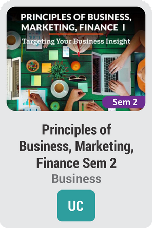 Principles of Business, Marketing, Finance Semester 2: Targeting Your Business Insight