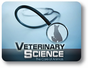 Veterinary Science: The Care of Animals